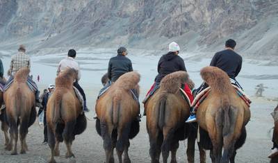 Pacote Turístico Leh Ladakh de Delhi com Voos — 2