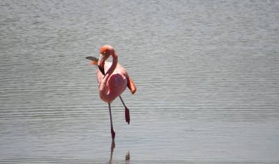 Przygoda na Galapagos (4 dni) — 5