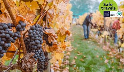 Degustação de Vinhos em Mendoza — 3