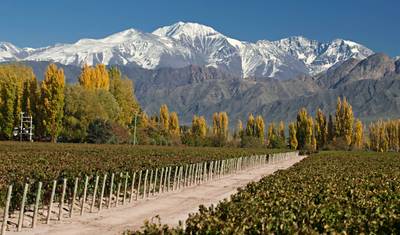 تجربة Mendoza الفريدة — 4