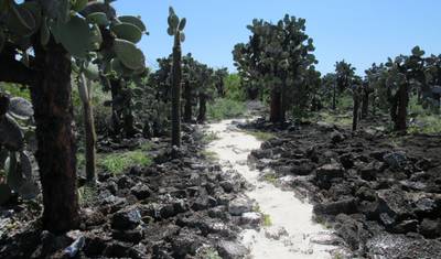 Galapagos Harmony (7 Days) — 5