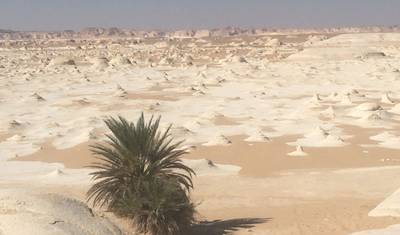 Aventura de 6 Dias no Cairo e no Oásis do Deserto — 3