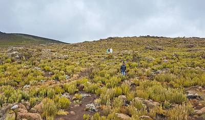 Caminhada de 1 Dia no Kilimanjaro pela rota Marangu — 3