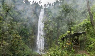 Caminhada de 1 Dia no Kilimanjaro pela rota Marangu — 5