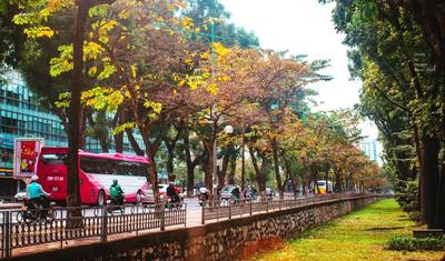 Wycieczka po Północnym Wietnamie do Hanoi - Sapa - Zatoka Halong — 3