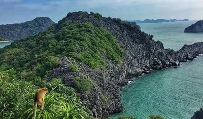 Melhor do Vietnã: Tour por Sapa, Halong, Hoi An, Nha Trang, Da Lat, Saigon e Delta do Mekong — 5
