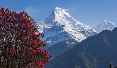 4-dniowy trekking Ghorepani Poon Hill — 5