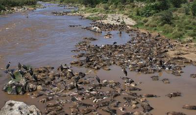 O Melhor de Uganda – Exclusivo — 5