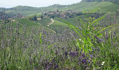 Piemont – Liguria — 4