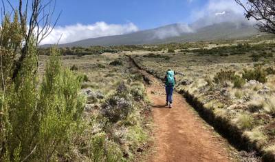 Kilimanjaro Lemosho Summit and Camping Safari — 3