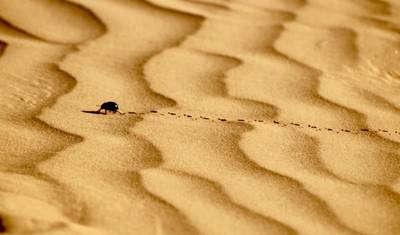 From Fes to Marrakesh Desert experience ( Luxury Accommodations ) — 3