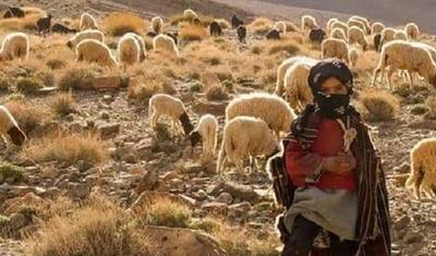 جولة المغرب الخاصة لمدة 8 أيام من الدار البيضاء — 3