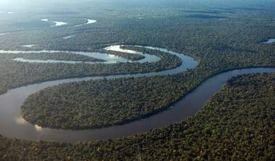 Tour de 4 Dias pela Amazônia — 4