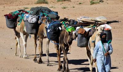 7 Days Camel Trek to Erg Zahar — 2