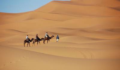7 Days Camel Trek to Erg Zahar — 3