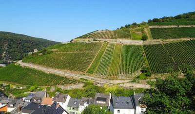 المشي على الراين: Rüdesheim - St. Goarshausen — 2