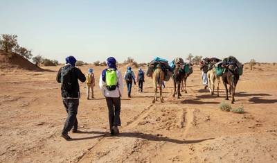 5 Dias de Trekking de Camelo no Deserto do Saara — 4