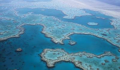Cairns والـ Great Barrier Reef (استراحة قصيرة) — 3