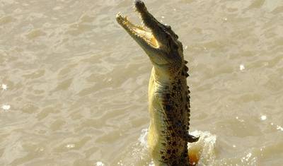 Top End Tropical (Pausa Curta, 4 Dias) — 3