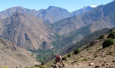 7 Days Trek from Toubkal to Erg Chebbi — 4