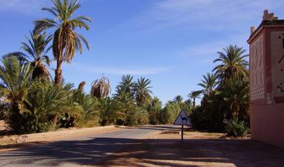 6-Day Private Morocco Tour: Casablanca to Marrakech, Exploring Chefchaouen, Fes, & Sahara — 2