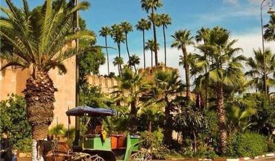 6-Day Private Morocco Tour: Casablanca to Marrakech, Exploring Chefchaouen, Fes, & Sahara — 3