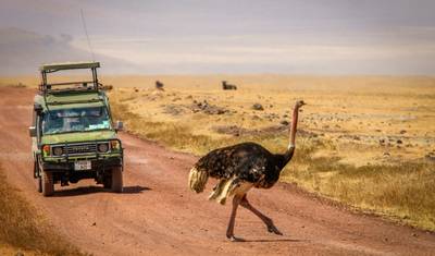 4-dniowe Safari Kempingowe Sekrety Tanzanii — 2