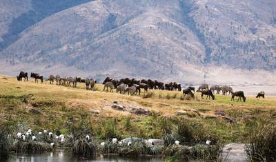 4-dniowe Safari Kempingowe Sekrety Tanzanii — 5