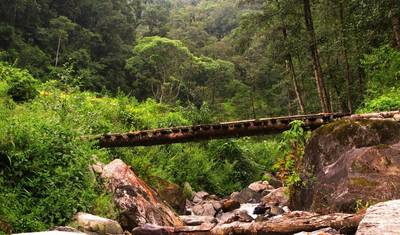 Viagem de 4 Dias a Annapurna Incluindo Caminhada pela Aldeia de Ghandruk — 3