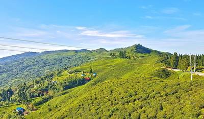 3-Days Eastern Paradise Ilam Tour from Kathmandu — 4