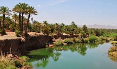 Tour Privado de 5 dias de Casablanca a Marrakech Visitando Chefchaouen, Fes e o deserto — 4