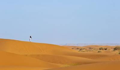 Excursão de Luxo de 3 Dias ao Deserto do Saara de Marraquexe a Fez via Ait Ben Haddou e Merzouga — 3