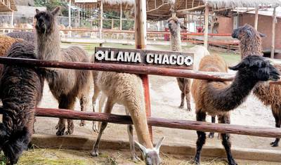 City Tour em Cusco, Vale Sagrado & Machu Picchu - 3 Dias / 2 Noites — 5
