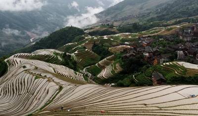 Classic China Tour 11D: Beijing-Xi'an-Guilin-Shanghai Small Group — 5