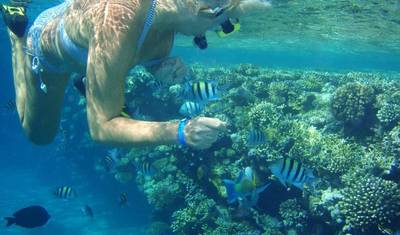 カイロからアインソフナへの紅海日帰り旅行 — 2