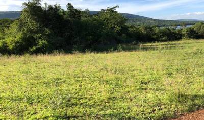 13 Dias de Expedição em Ruanda com Trekking de Chimpanzés e Gorilas — 5