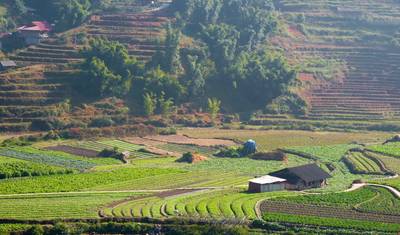 Incrível Passeio de Trekking em Sapa 5 Dias/4 Noites — 3