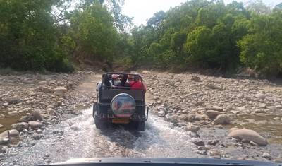Excursão Triângulo Dourado com o Parque Nacional Jim Corbett — 3