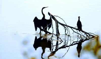 Rajasthan Wildlife Tour — 5