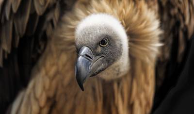 Kruger National Park Express 3 Days/ 2 Nights ( Comfort) — 4