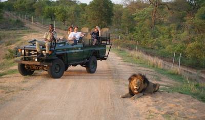 Johannesburg Safari Przygodowe 4 Dni/ 3 Noce (Komfort) — 5