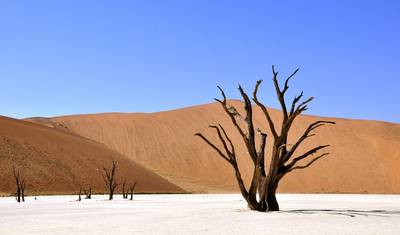 Sossusvlei, Swakopmund e Parque Nacional Etosha 7 Dias / 6 Noites — 4