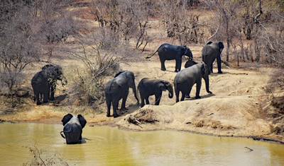 Ghanaian Adventure Safari 8 Days / 7 Nights — 4