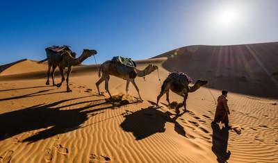 Oásis e Deserto, 4 dias, Tour Privado — 5