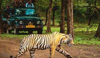 4-dniowa wycieczka po Złotym Trójkącie z tygrysim safari w Ranthambore z Delhi — 2