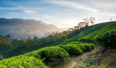 Kerala i jej piękno — 4