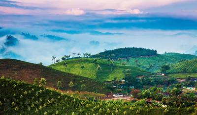 Fascinating Kerala 6 Nights — 3