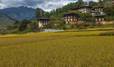 Royal Bhutan Tour — 3