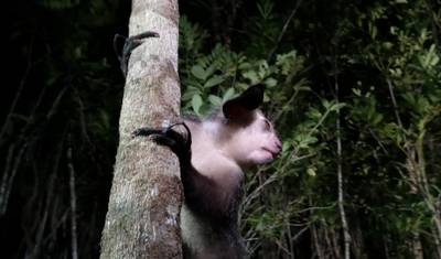 South Madagascar Discovery 9 Days /8 Nights — 5