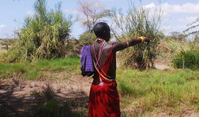 Adventure in Masai Mara, Lake Nakuru, Amboseli (Comfort) 6 Days/ 5 Nights — 2